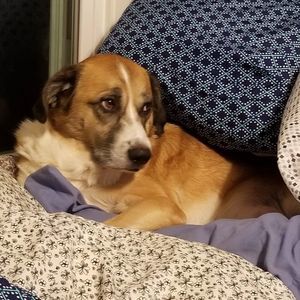 Meet your Posher, Leann